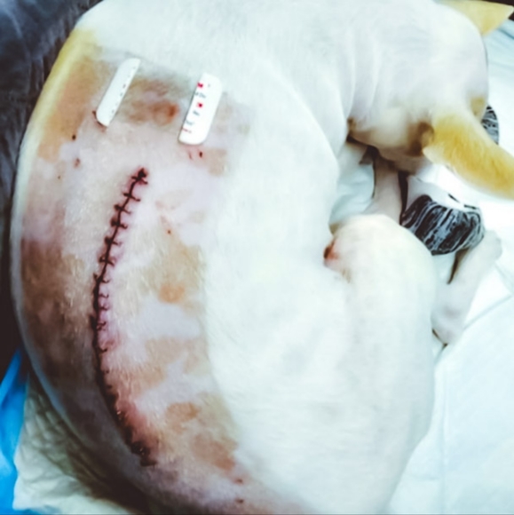 BUNDLE AND SAVE Accepting Offers - Picture 4 of 5